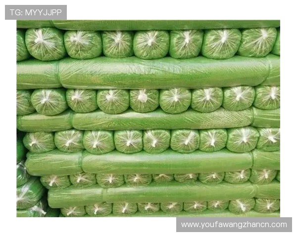 欧博app登录页面打不开的情况下用户应采取的具体操作指南