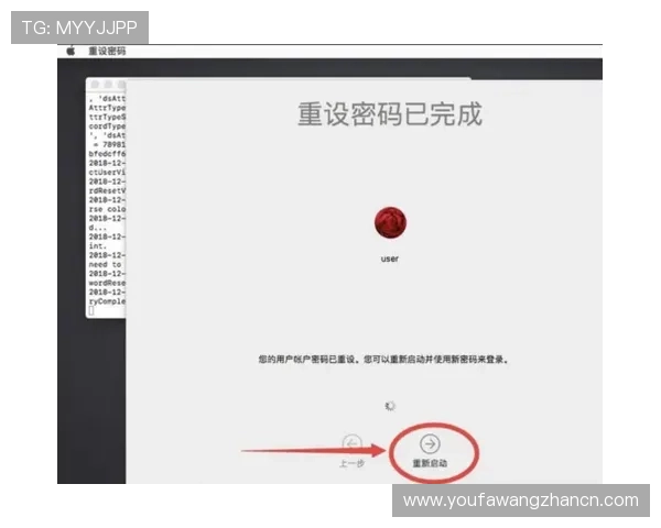 欧博会员登录官网入口账户密码忘记解决方案，轻松找回登录权限